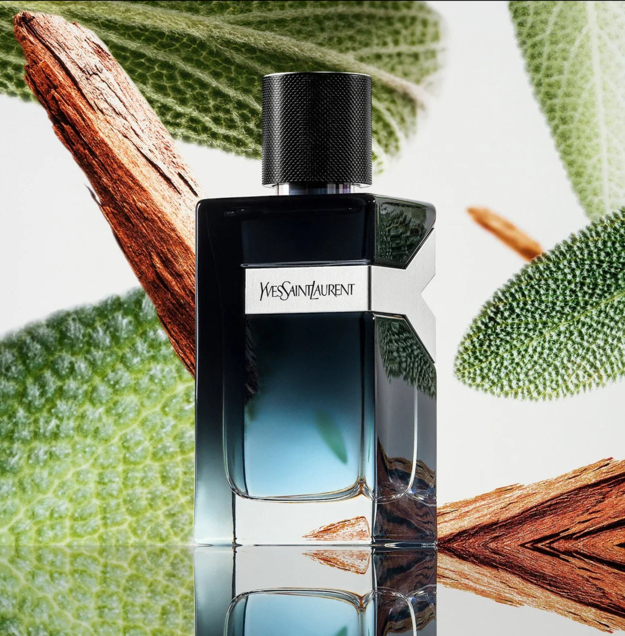 Yves Saint Laurent Y 100 ML + Envío GRATIS.